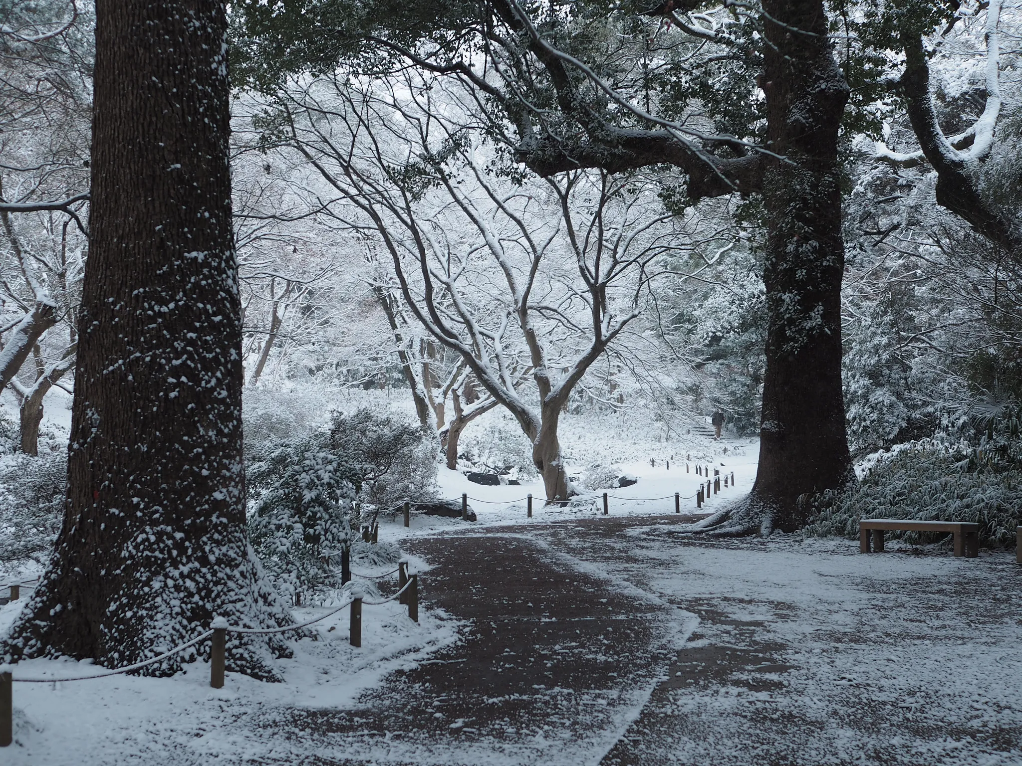 A snowy view of Rikugien Gardens