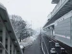 A Snowy Day in Tokyo - Thumbnail 6